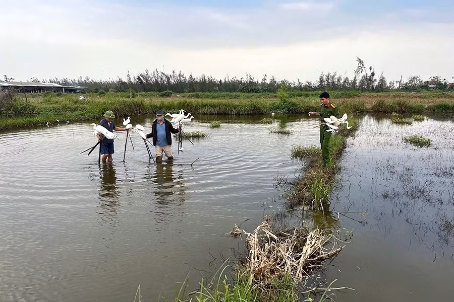 images2069691-3.jpg