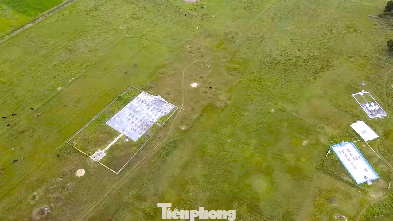 tp-2.jpg