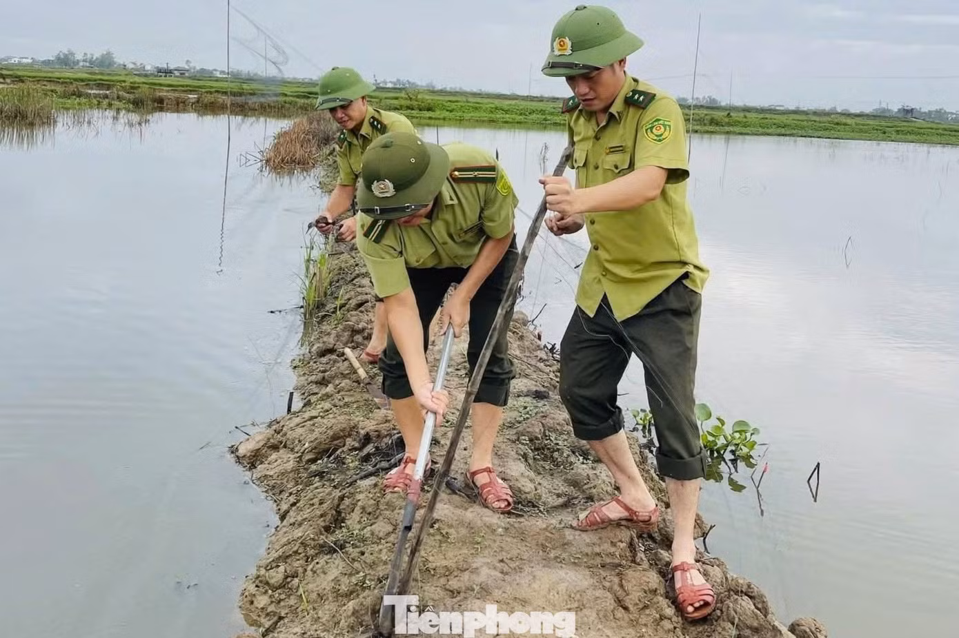 tp-18.jpg