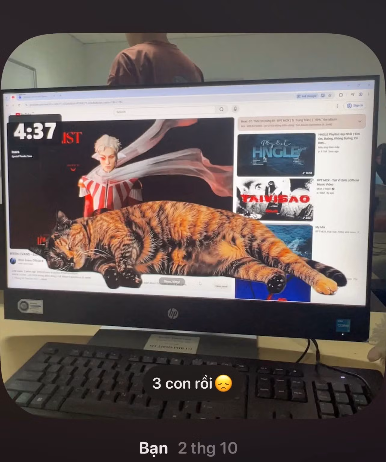 bapcaixanh02.jpg