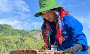 Hè tình nguyện đầy ý nghĩa vì cộng đồng 