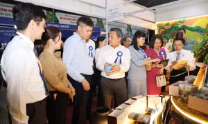 Sơn La: Kết nối thị trường, quảng bá nông sản tại hội chợ hàng công nghiệp nông thôn