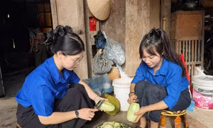 Tuổi trẻ Sơn La hỗ trợ xây nhà, cấy lúa, khám bệnh cho gia đình chính sách