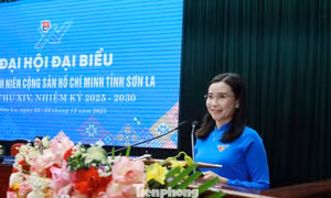 Tỉnh Đoàn Sơn La phải giữ chân thanh niên ở lại địa phương, giải quyết việc làm tại chỗ 