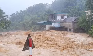 Phú Thọ, Lào Cai di dời hơn 1.000 hộ dân tránh mưa lũ, sạt lở sau bão số 10