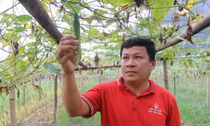 Người mở lối cho nông dân thoát nghèo