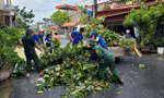 Kích hoạt đội hình thanh niên xung kích, ứng phó khẩn cấp với bão số 3
