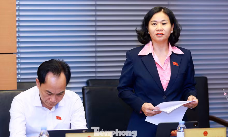 'Nếu xử phạt quá thấp, người vi phạm có thể coi tiền phạt là một khoản chi phí trong hoạt động kinh doanh'