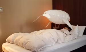 Robot đồng hành biết bay