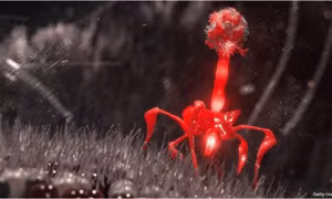 AI đã thiết kế một loại virus sinh học mới như thế nào?