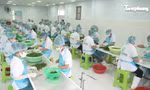 Kinh tế tư nhân - Động lực then chốt để Khánh Hòa bứt phá 