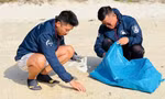 Những bạn trẻ về Hòn Cau 'đỡ đẻ' cho rùa