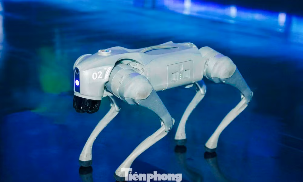 Xuất hiện robot 4 chân tại Đà Nẵng 