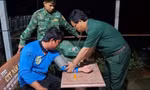 Tàu cá bị sóng đánh chìm, 4 thuyền viên trôi dạt được cứu