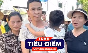 TIÊU ĐIỂM: Lý do người nuôi gà lôi trắng được tại ngoại; Thả hàng triệu con muỗi để chống dịch chikungunya