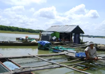 Bè cá trên sông. Ảnh minh họa