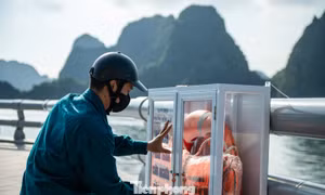 Quảng Ninh treo áo phao an toàn dọc đường bao biển