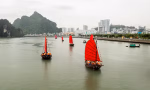 Vi vu thuyền buồm ba vách ngắm vịnh Hạ Long
