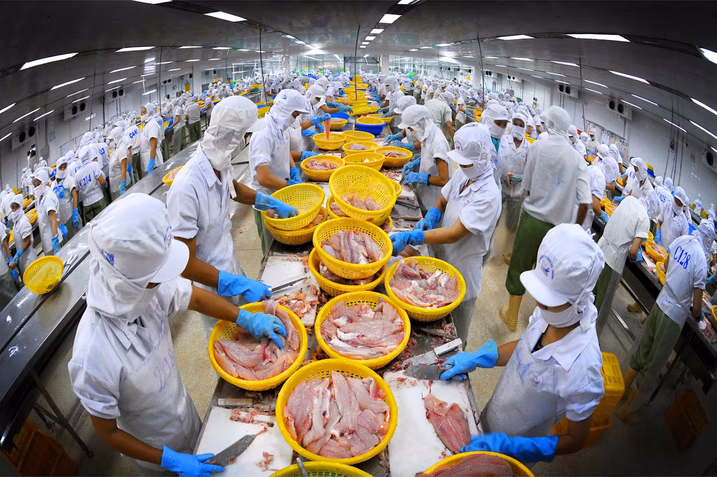 Việt Nam phấn đấu có 2 triệu doanh nghiệp năm 2030. Ảnh: May 10 (trái), Vasep.