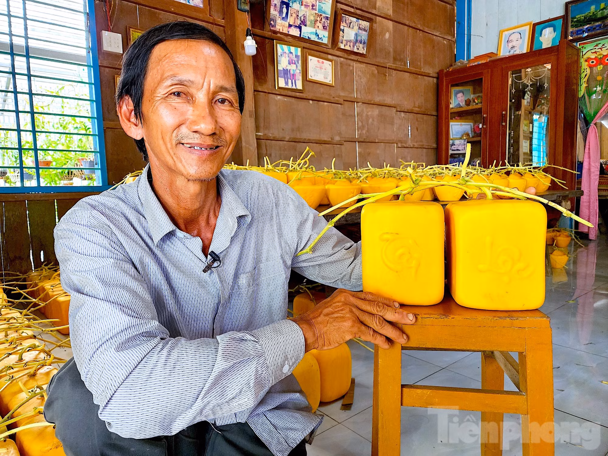 Nói về cơ duyên đến với việc tạo hình dưa hấu, ông Cưng cho biết, gia đình ông vốn có truyền thống trồng dưa hấu chưng Tết nên ông cũng nối nghiệp cha mẹ. Vào năm 2000, trong một lần đào mương, rồi dùng 2 tấm gỗ chặn đường mương thì có một trái dưa hấu non kẹt ở giữa nhưng ông không để ý. Đến ngày thu hoạch dưa thì bất ngờ phát hiện trái dưa hấu đó bị 2 tấm gỗ ép lại tạo thành 2 mặt phẳng nhưng trái vẫn bóng đẹp, không bị hư nên ông mới nảy sinh ý tưởng làm dưa hấu vuông (Ảnh: Kim Hà). Nói về cơ duyên đến với việc tạo hình dưa hấu, ông Cưng cho biết, gia đình ông vốn có truyền thống trồng dưa hấu chưng Tết nên ông cũng nối nghiệp cha mẹ. Vào năm 2000, trong một lần đào mương, rồi dùng 2 tấm gỗ chặn đường mương thì có một trái dưa hấu non kẹt ở giữa nhưng ông không để ý. Đến ngày thu hoạch dưa thì bất ngờ phát hiện trái dưa hấu đó bị 2 tấm gỗ ép lại tạo thành 2 mặt phẳng nhưng trái vẫn bóng đẹp, không bị hư nên ông mới nảy sinh ý tưởng làm dưa hấu vuông (Ảnh: Kim Hà).