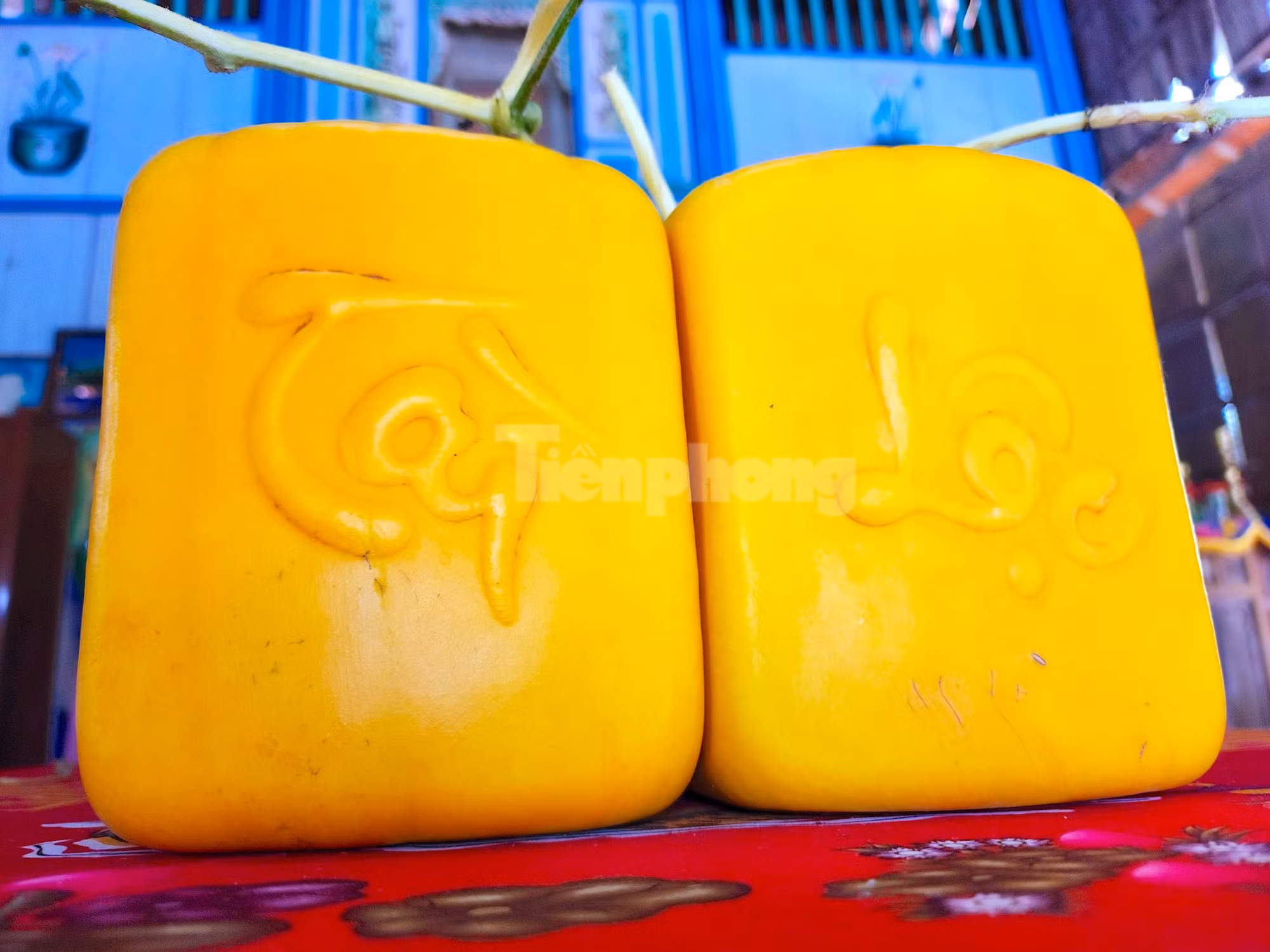 Trên quả dưa được khắc chữ tài, lộc... (Ảnh: Kim Hà). Trên quả dưa được khắc chữ tài, lộc... (Ảnh: Kim Hà).