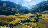  Ruộng bậc thang Tây Bắc mùa lúa chín đẹp như tranh