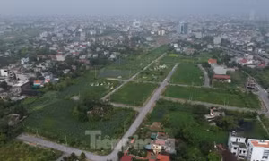 Hà Nội thu hồi lô đất dự án hơn 10.000 m² không triển khai nhiều năm