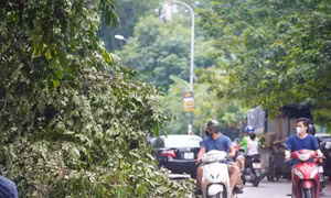 Chủ tịch Hà Nội yêu cầu trực 24/24, tập trung ứng phó bão số 3