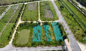 Hà Nội giao hơn 17ha đất để xây nhà liền kề và nhà ở xã hội