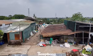 Hà Nội xử lý hàng trăm trường hợp vi phạm trên đất nông nghiệp 