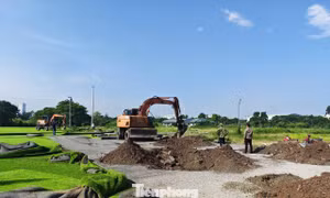 Hà Nội: Cưỡng chế 3 sân bóng xây dựng trên đất nông nghiệp 