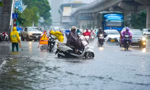 Hà Nội không bị úng ngập, 26 cây xanh gãy đổ do bão số 10