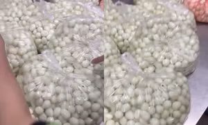 Phạt 40 triệu đồng đơn vị cung cấp thực phẩm ôi thiu cho bữa ăn bán trú học sinh 