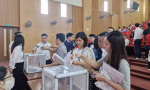 Hà Nội: 17 lô đất ở xã Quốc Oai được đấu giá thành công từ 84 - 125 triệu đồng/m2 