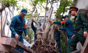 Phường Thanh Xuân bứt phá giải phóng mặt bằng đường vành đai 2,5