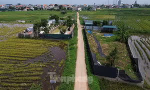 Dự thảo Bảng giá đất mới của Hà Nội: Cần ở mức trung lập