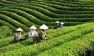 Phát động Giải báo chí Huỳnh Thúc Kháng lần thứ 2