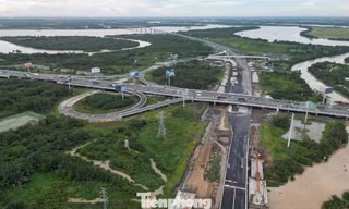 Phát triển đô thị thông minh: TPHCM phải đi trước, không thể làm máy móc 