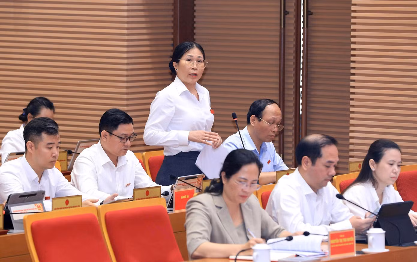 dai-bieu-thuy.jpg