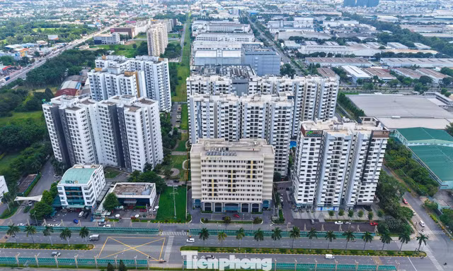 Chung cư có phải là tiêu sản?