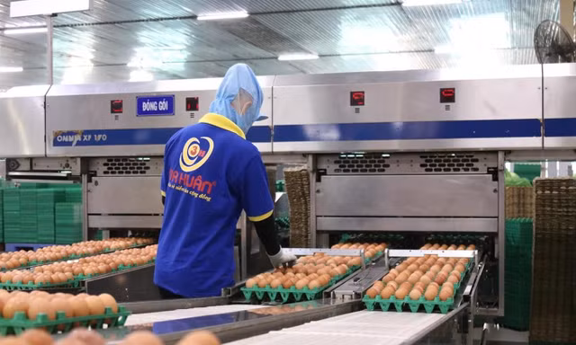 Ngân hàng rao bán trứng gà