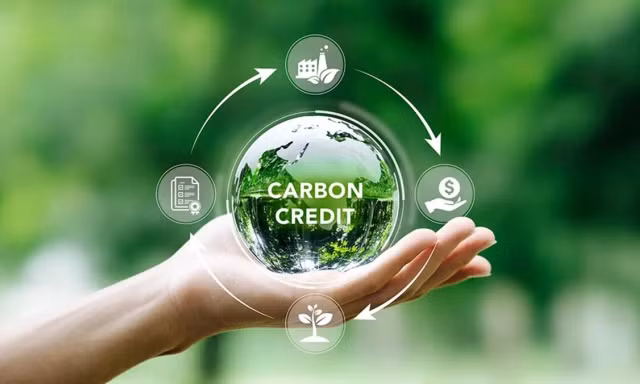 Sàn giao dịch carbon Việt Nam hoạt động thế nào?