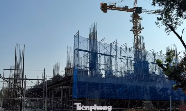 Giá căn hộ ở TPHCM giảm mạnh sau sáp nhập 