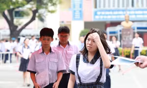 Trường nào ở TPHCM có học sinh đậu trường chuyên nhiều nhất?