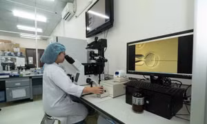 TPHCM thu hút nhân tài, thưởng tới 1 tỷ đồng cho người có tài năng đặc biệt