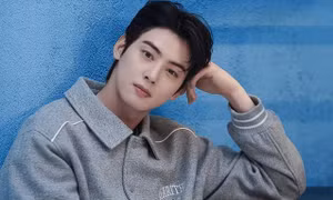 Cha Eun Woo bị khiếu nại, phim đóng cùng Park Eun Bin vẫn chiếu vì đã nộp đủ thuế?