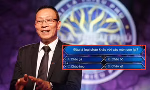 Câu hỏi đánh đố của Ai Là Triệu Phú: Cháo nào khác biệt giữa cháo gà, bò, heo và vịt?