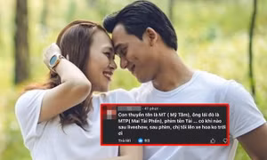 Mỹ Tâm công khai chia sẻ về Mai Tài Phến, fan mong cả hai "sớm về một nhà"