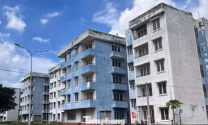 TPHCM: Gần 1.000 căn hộ tái định cư được đề xuất làm nhà ở công nhân 