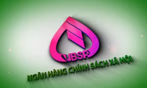 Thủ tướng bổ nhiệm Tổng Giám đốc Ngân hàng Chính sách xã hội